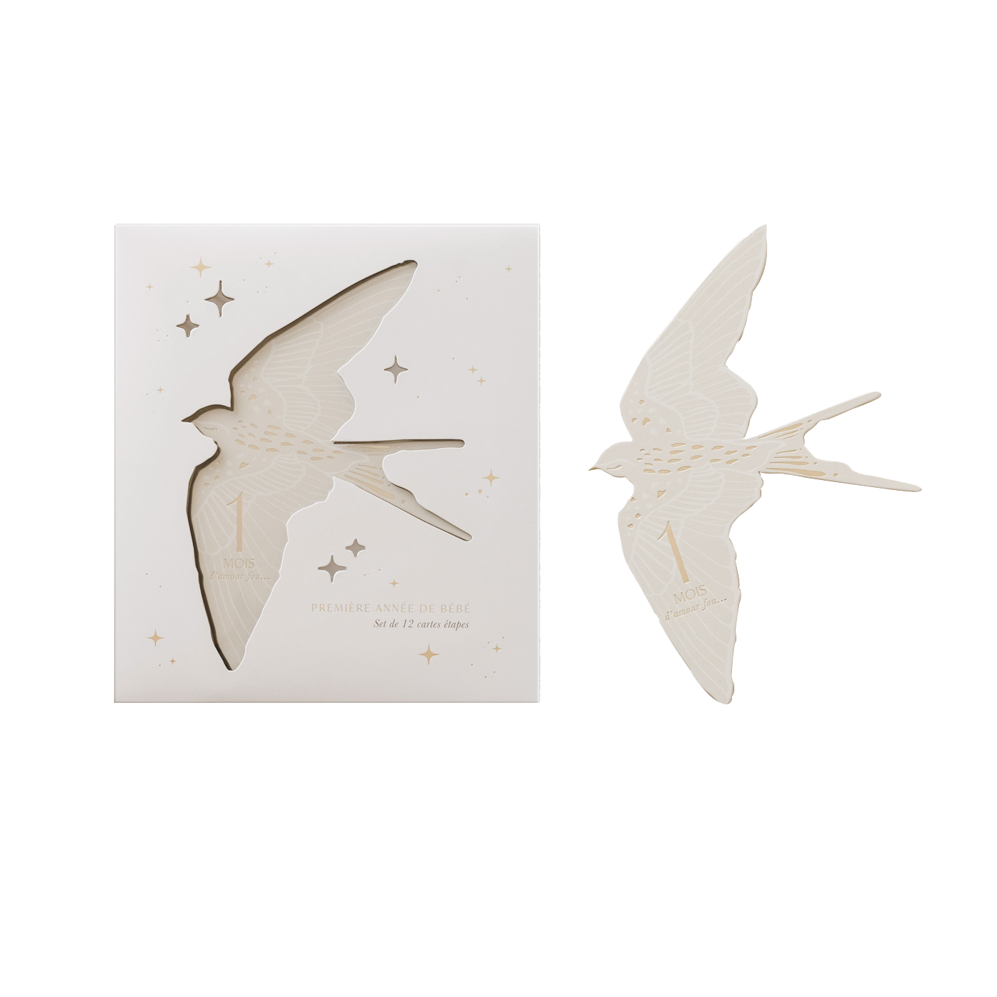 Set de 12 cartes étapes Birds