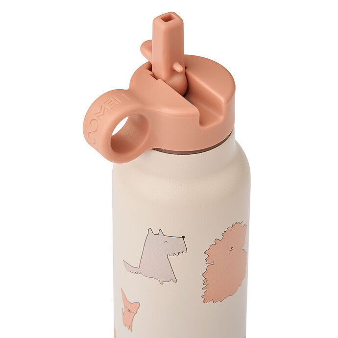 Gourde falk cats and dogs