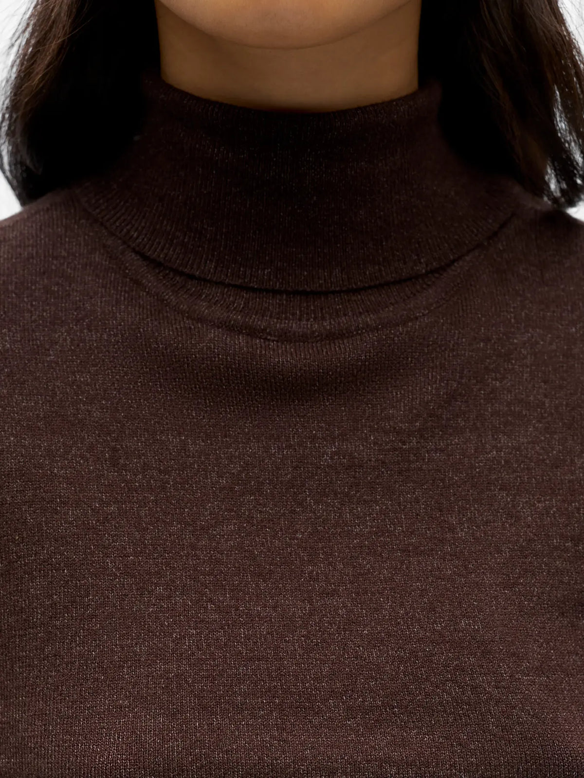 Pull col roulé Thess Seal Brown