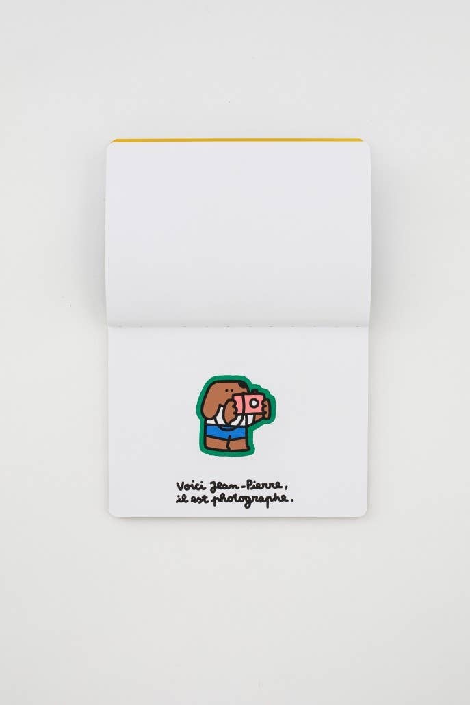 Livre La Photo Parfaite