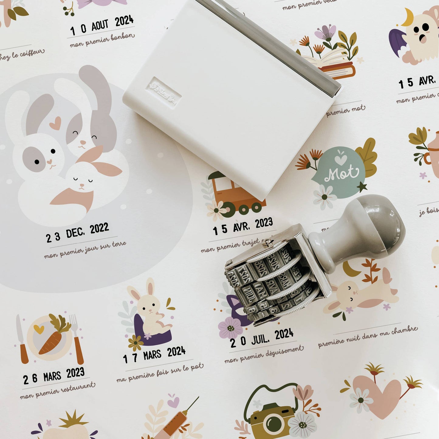 Affiche "Mes premières fois" - Lapin