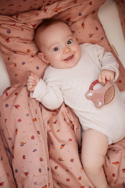 Anneau de dentition rafraîchissant Animaux Pack x 2