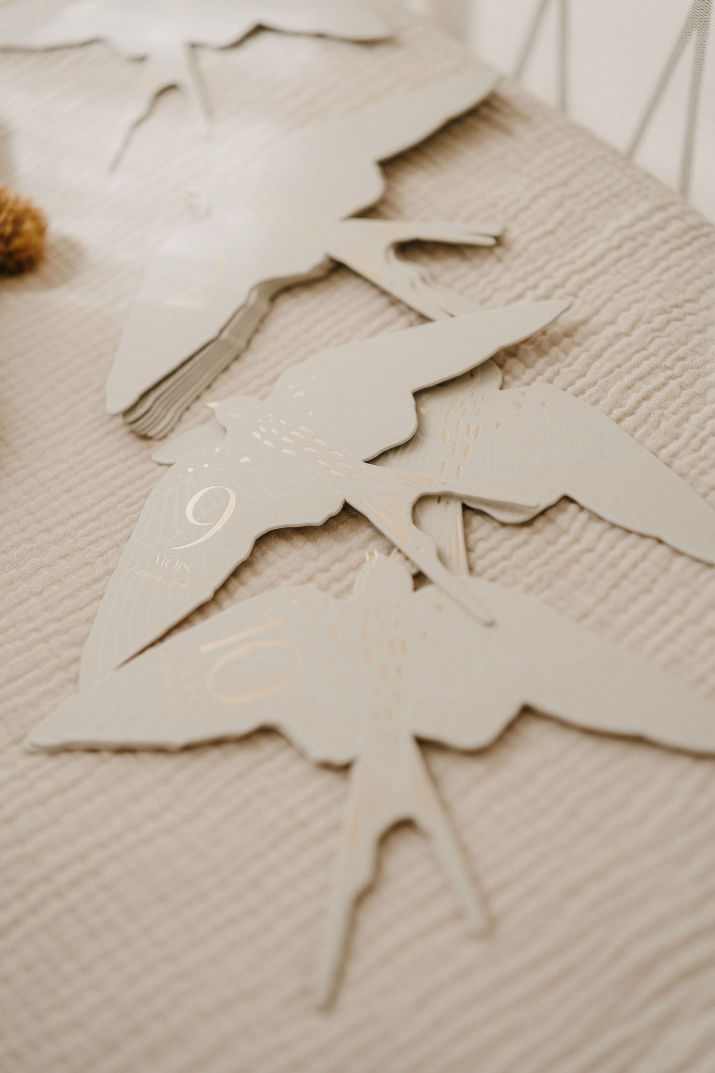 Set de 12 cartes étapes Birds