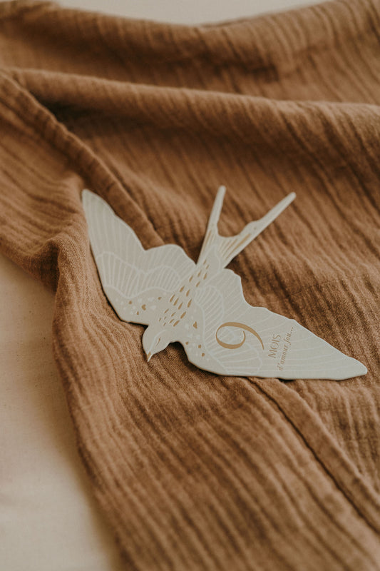 Set de 12 cartes étapes Birds