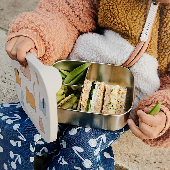 Arthur printed lunchbox cats and dogs