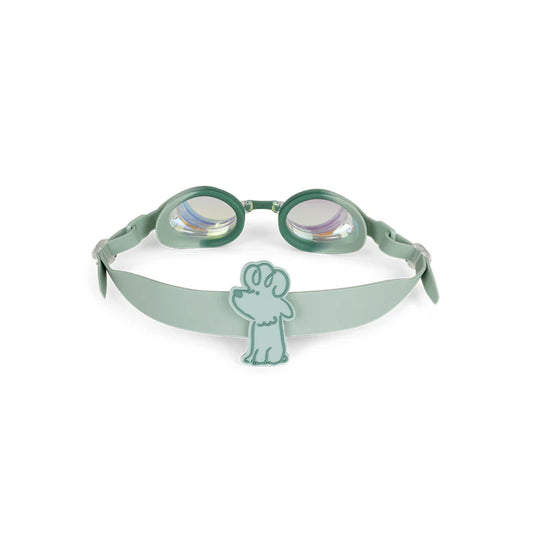 Lunettes de plongée Green Surfer