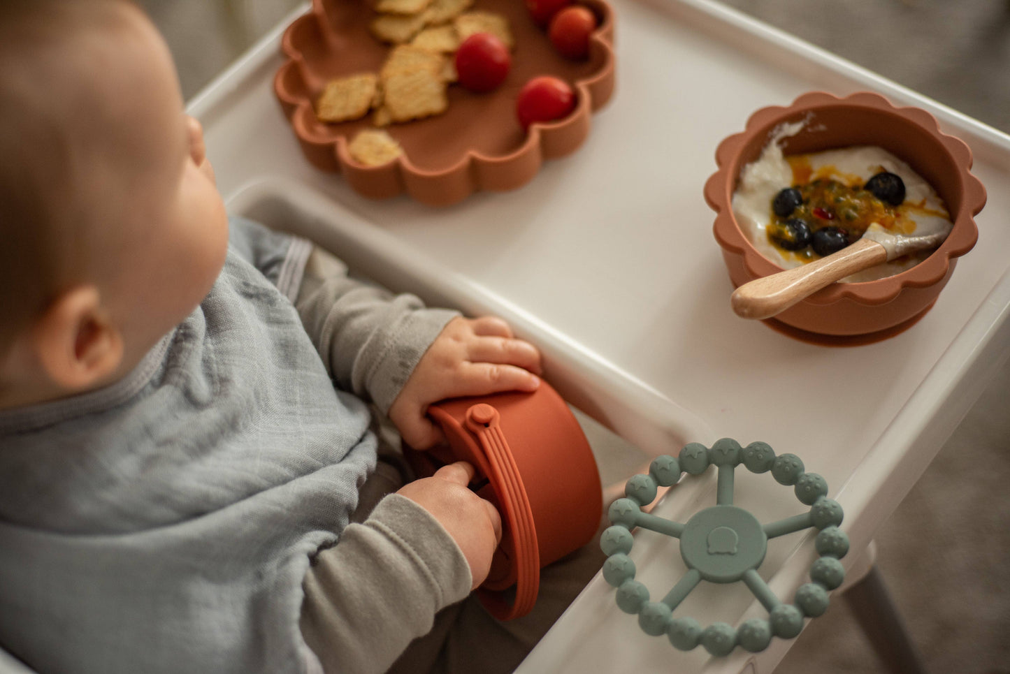 Bol en silicone avec couvercle et ventouse Lion Sauge
