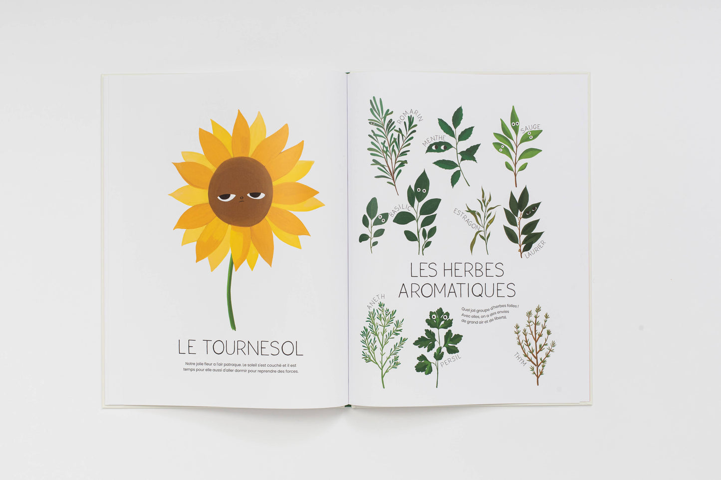 Livre Les Petits Caractères