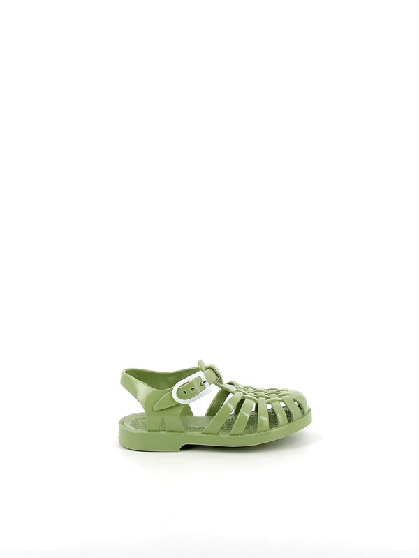 Méduses Olive