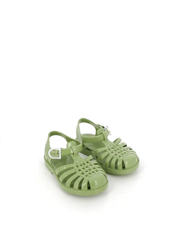 Méduses Olive