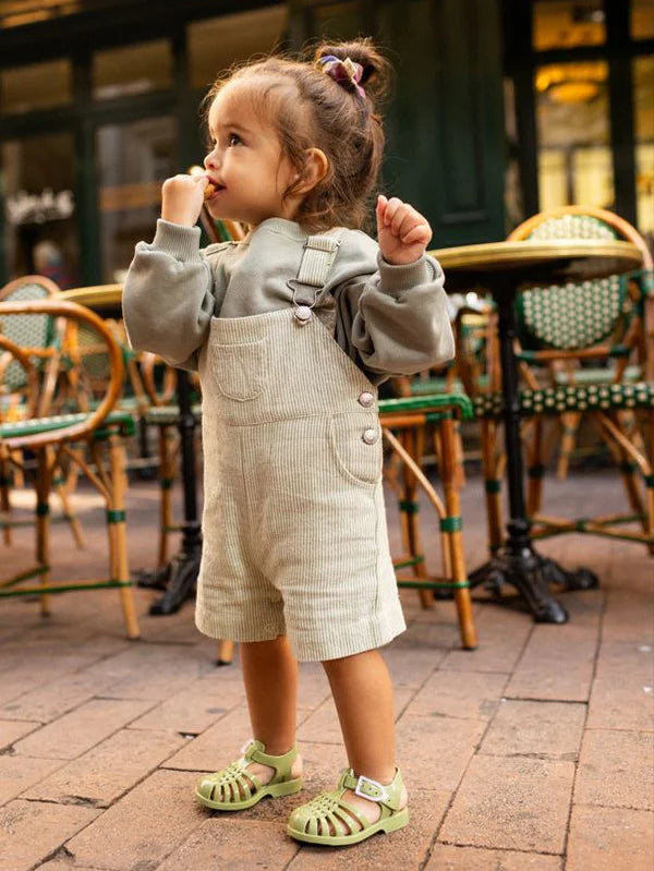 Méduses Olive